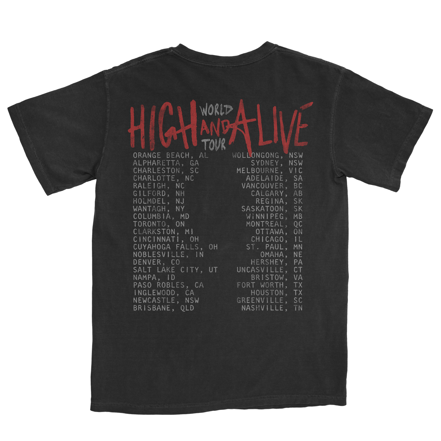 Guitar Photo Tour Tee